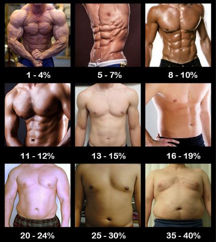 Steroids 20 body fat